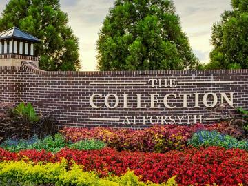 Photo of: Collection at Forsyth